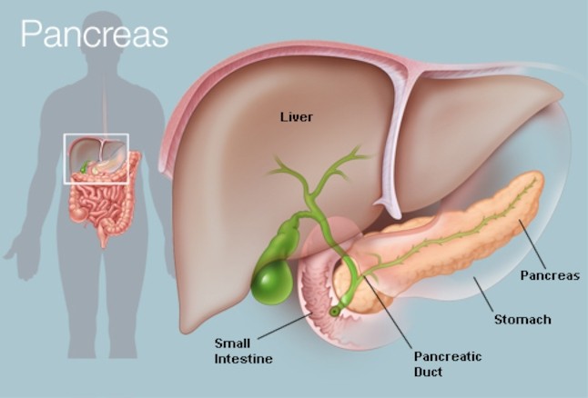 Chirurgia Pancreatica